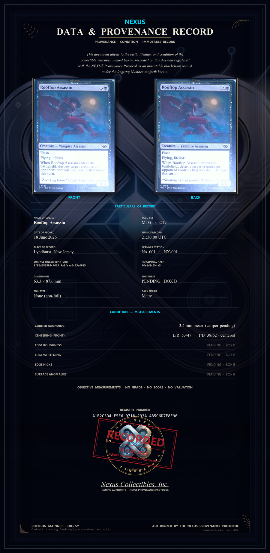 A NEXUS Data and Provenance Record: front and back images of the object, particulars of record, condition measurements, a registry number and a Polygon ERC-721 line.